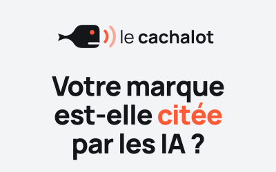 Le Cachalot : pourquoi j’ai créé mon propre outil de mesure de la visibilité dans les IA